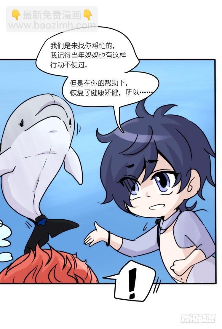 海洋精灵：大白鲨IV-教学？