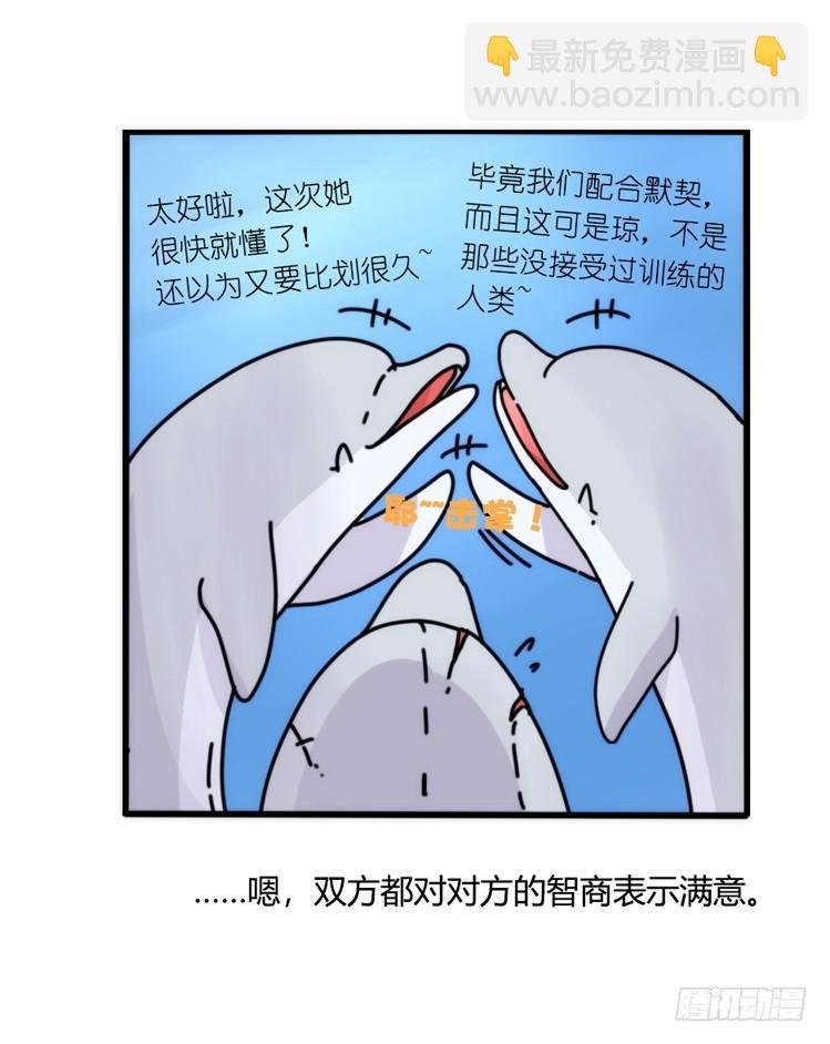 海洋精灵：大白鲨IV-教学？