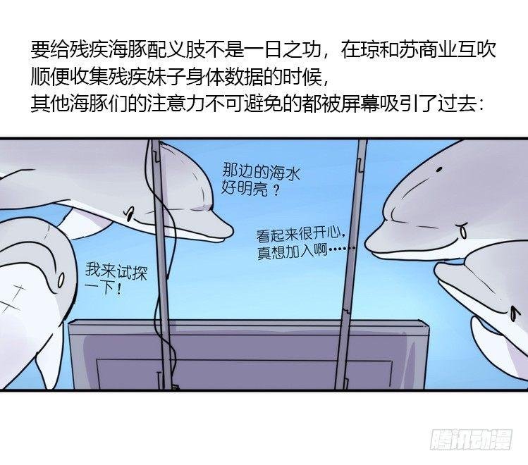 海洋精灵：大白鲨IV-教学？