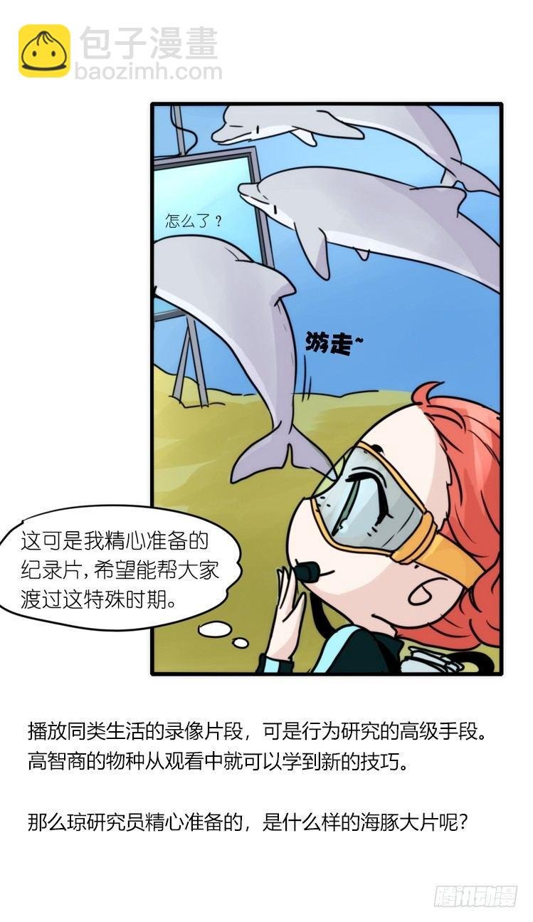 海洋精灵：大白鲨IV-教学？