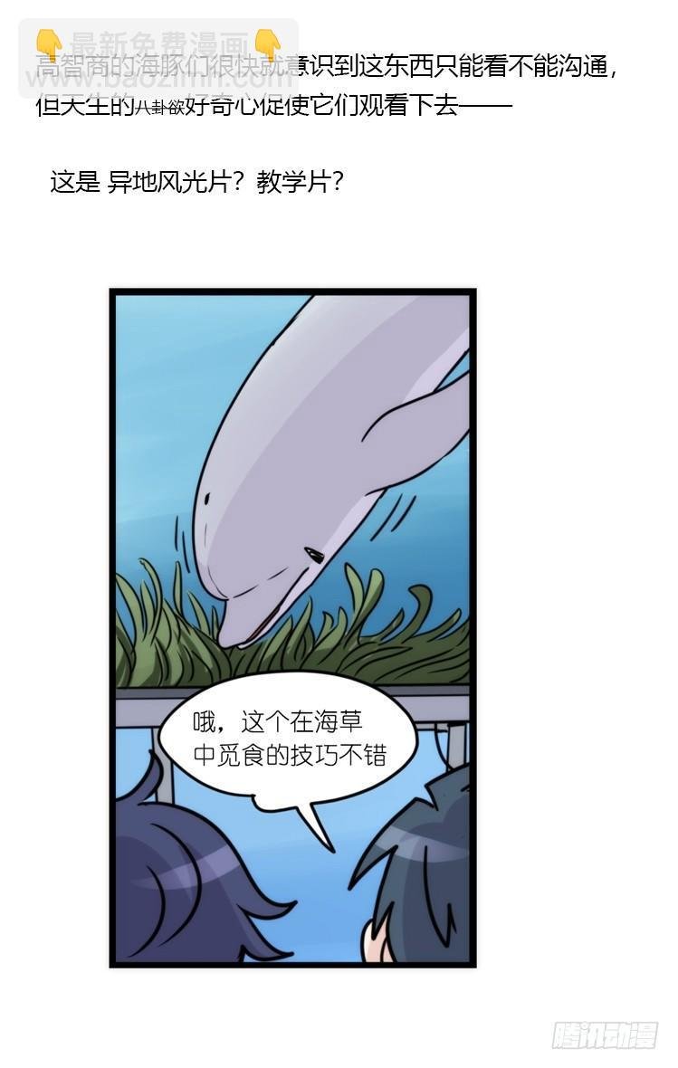 海洋精灵：大白鲨IV-教学？