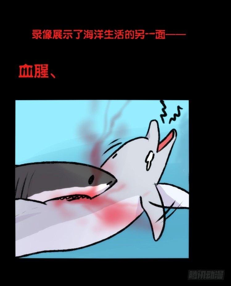 海洋精灵：大白鲨-反击战-上