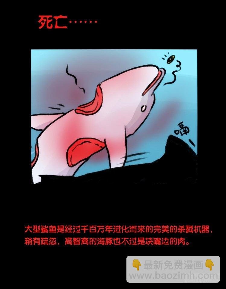 海洋精灵：大白鲨-反击战-上