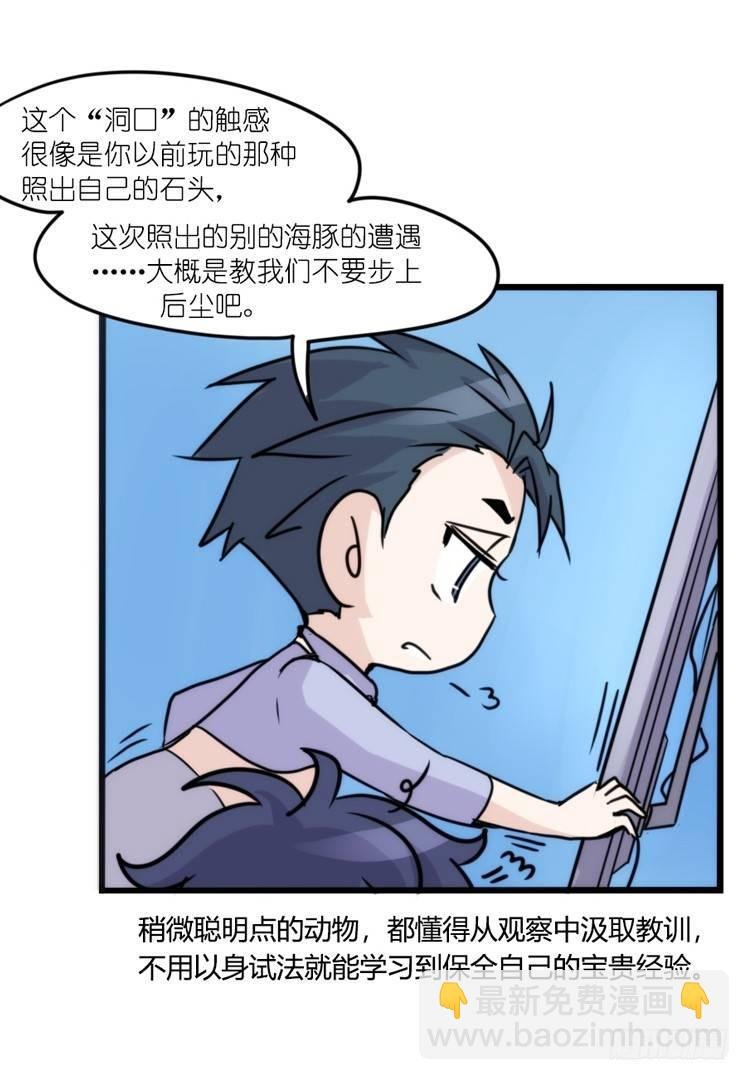 海洋精灵：大白鲨-反击战-上