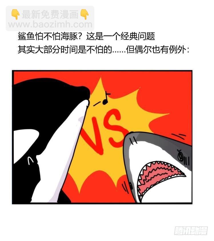 海洋精灵：大白鲨-反击战-上