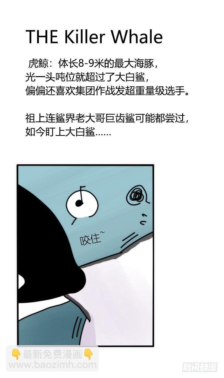 海洋精灵：大白鲨-反击战-上