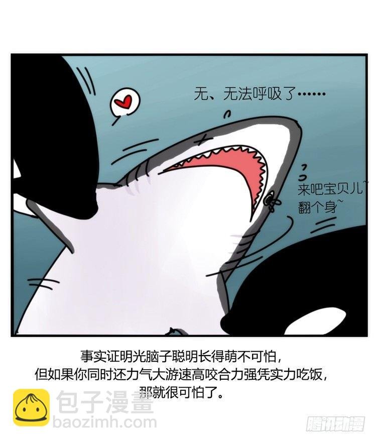 海洋精灵：大白鲨-反击战-上