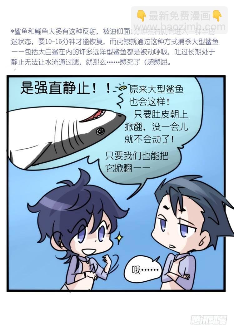 海洋精灵：大白鲨-反击战-上