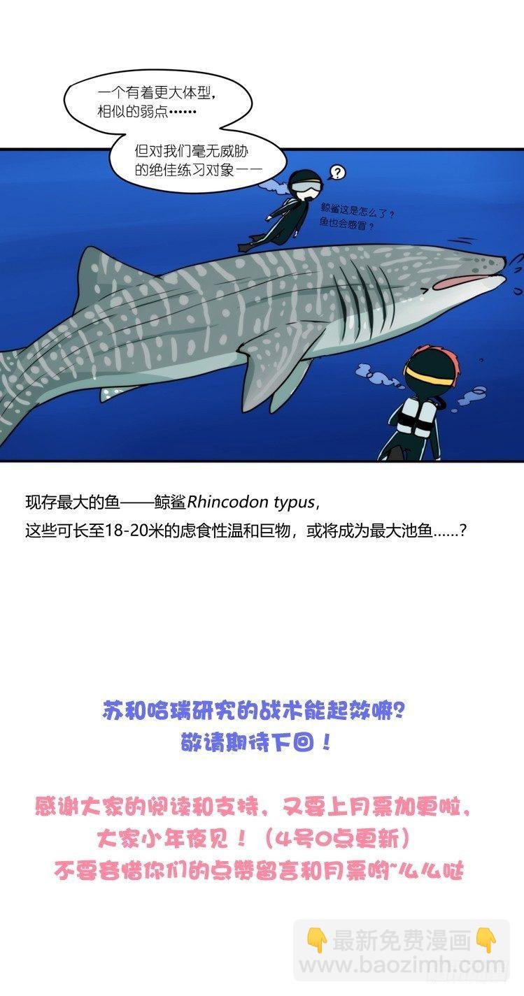 海洋精灵：大白鲨-反击战-上