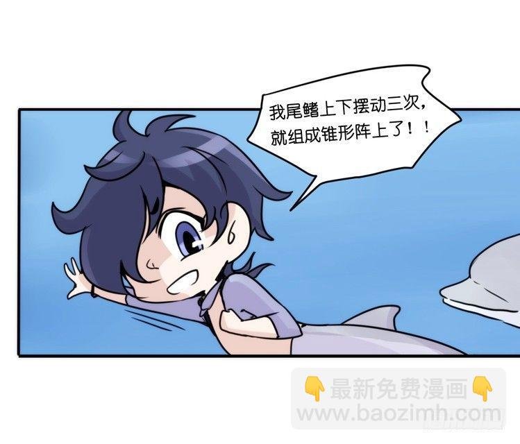 海洋精灵：大白鲨-反击战-下