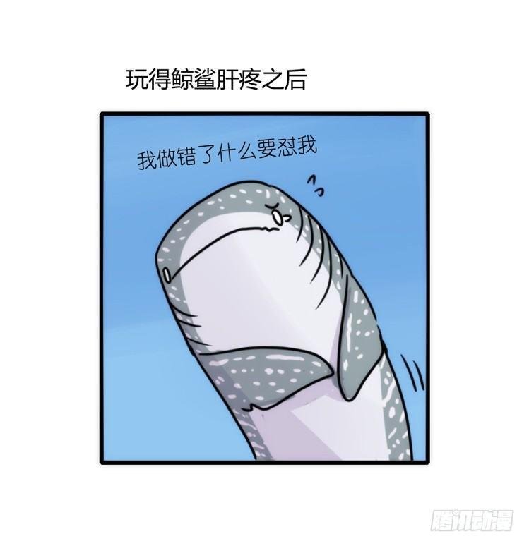 海洋精灵：大白鲨-反击战-下