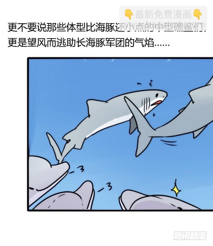 海洋精灵：大白鲨-反击战-下