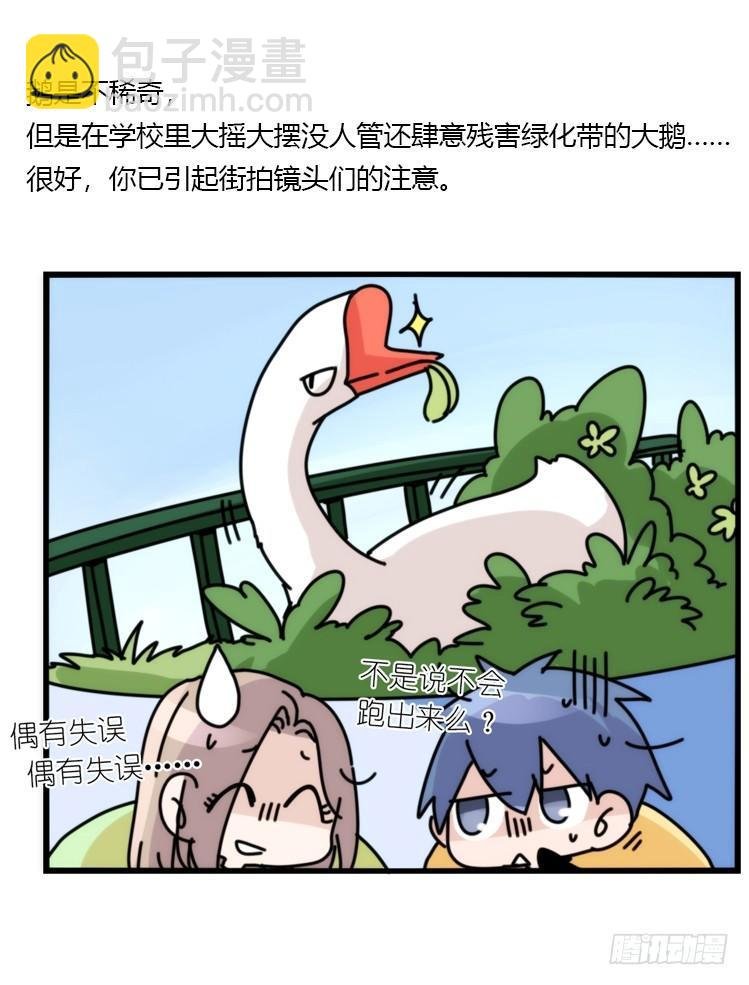 动协在行动01：鹅霸校园