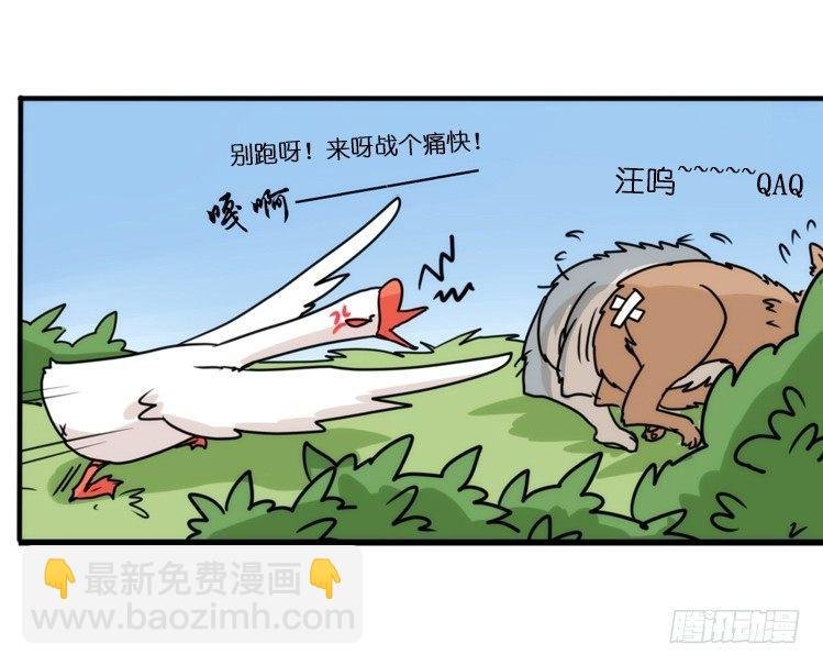 动协在行动01：鹅霸校园