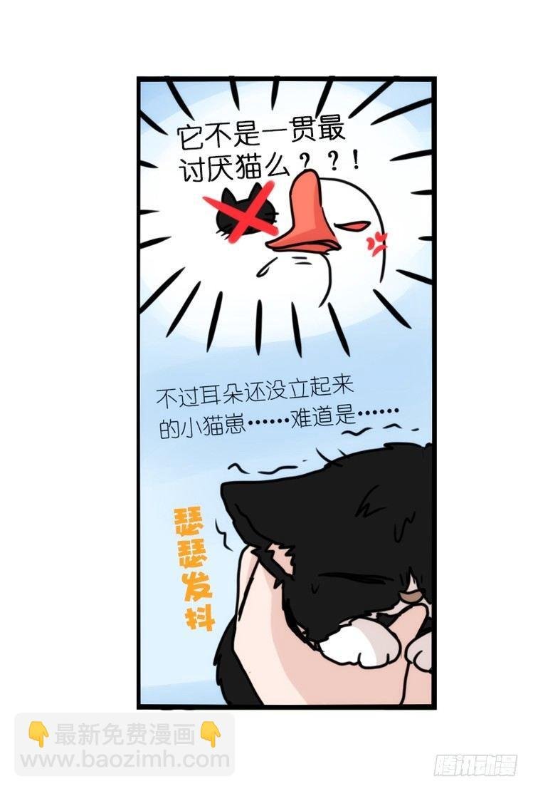 动协在行动01：鹅霸校园