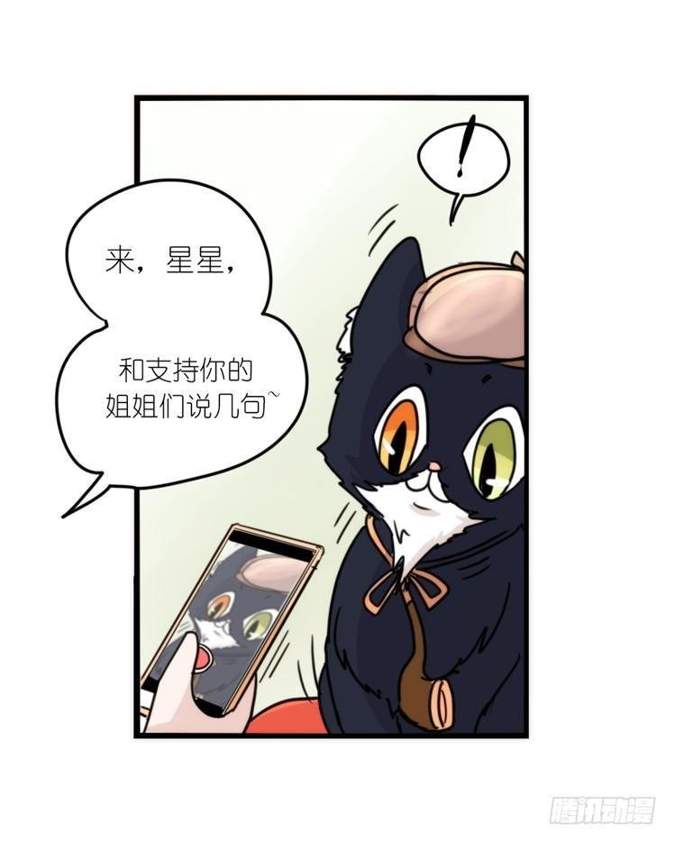 动协在行动02：鹅也有猫了！