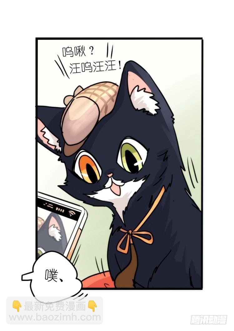动协在行动02：鹅也有猫了！