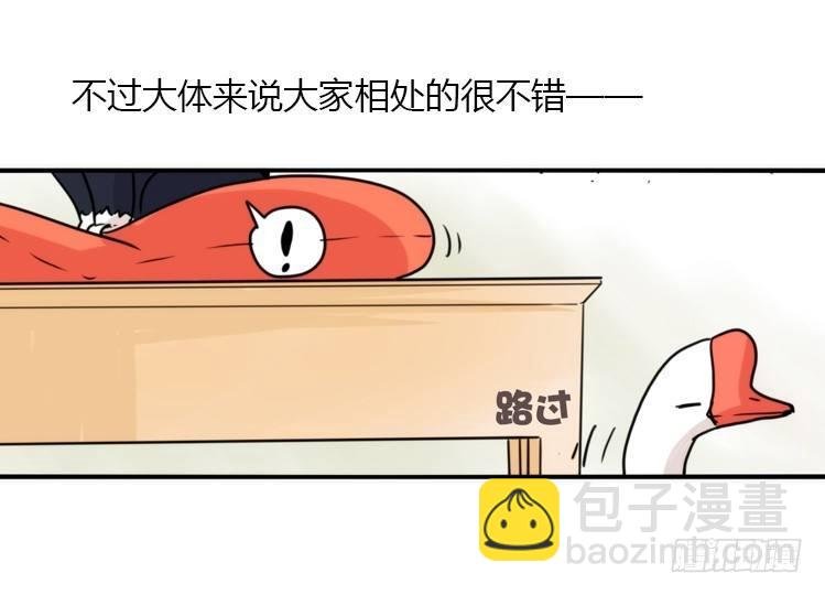 动协在行动02：鹅也有猫了！