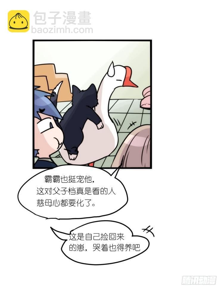 动协在行动02：鹅也有猫了！