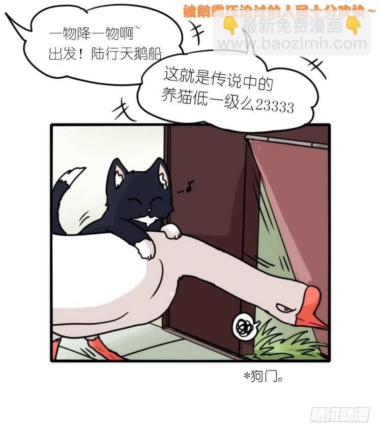动协在行动02：鹅也有猫了！