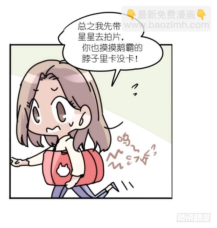 动协在行动02：鹅也有猫了！