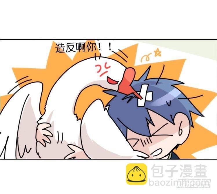 动协在行动02：鹅也有猫了！
