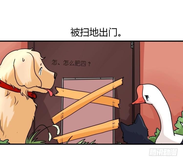 动协在行动02：鹅也有猫了！