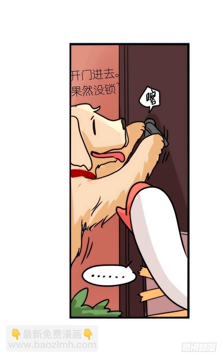 动协在行动02：鹅也有猫了！