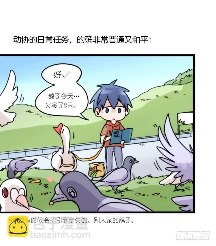 动协在行动06：于无人发现处……