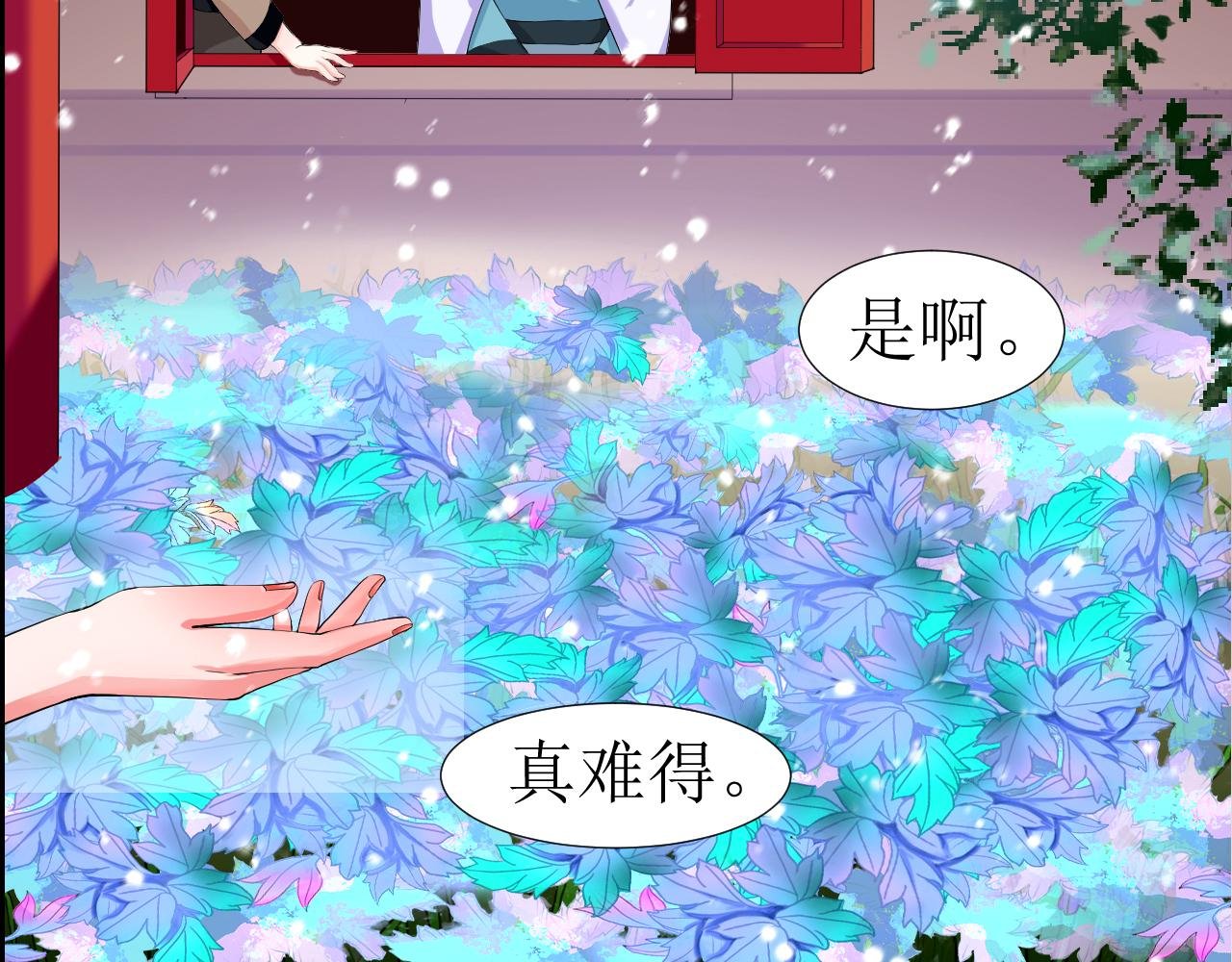 序 我是女主