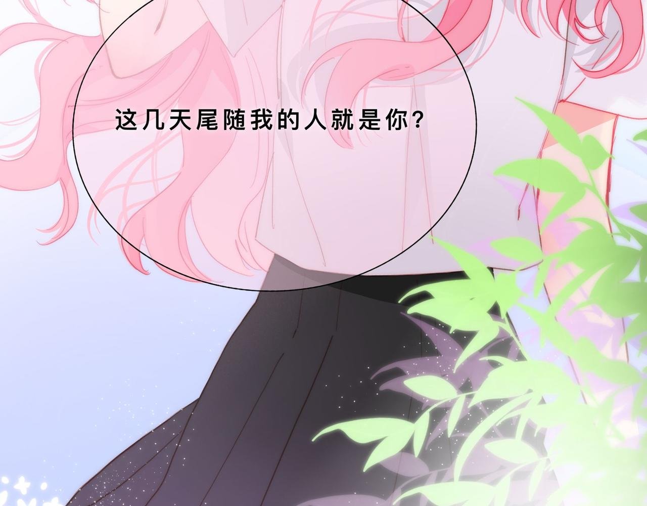 我的大小姐