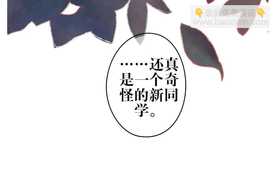 奇怪的新同学