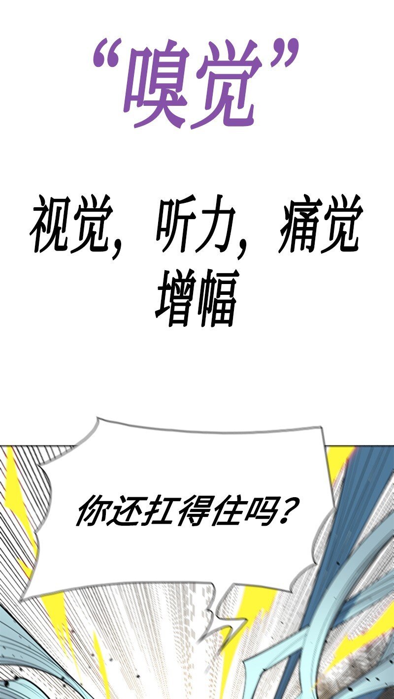 186 恼人的蛛网