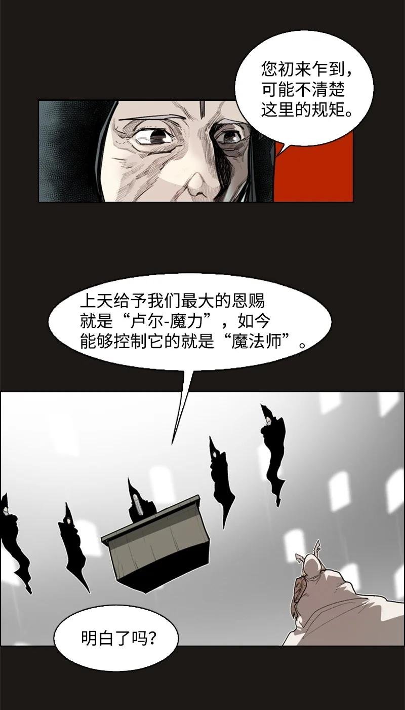 50 精灵王