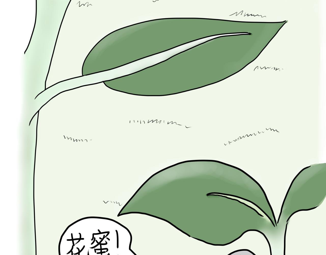蚊子兄弟