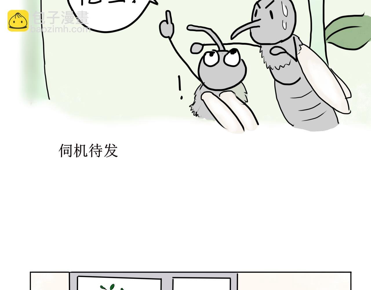 蚊子兄弟