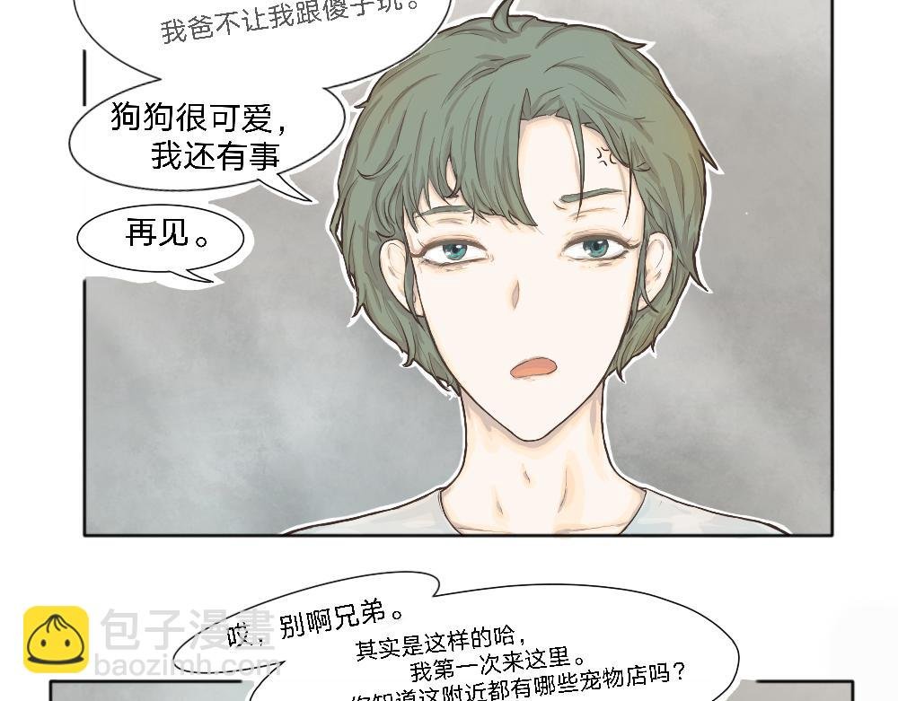狗子真可爱啊