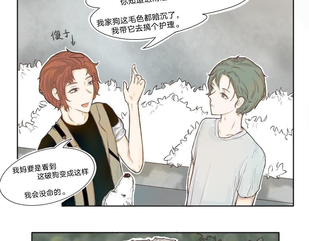 狗子真可爱啊