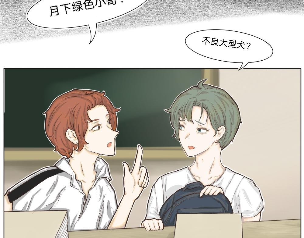 狗子真可爱啊