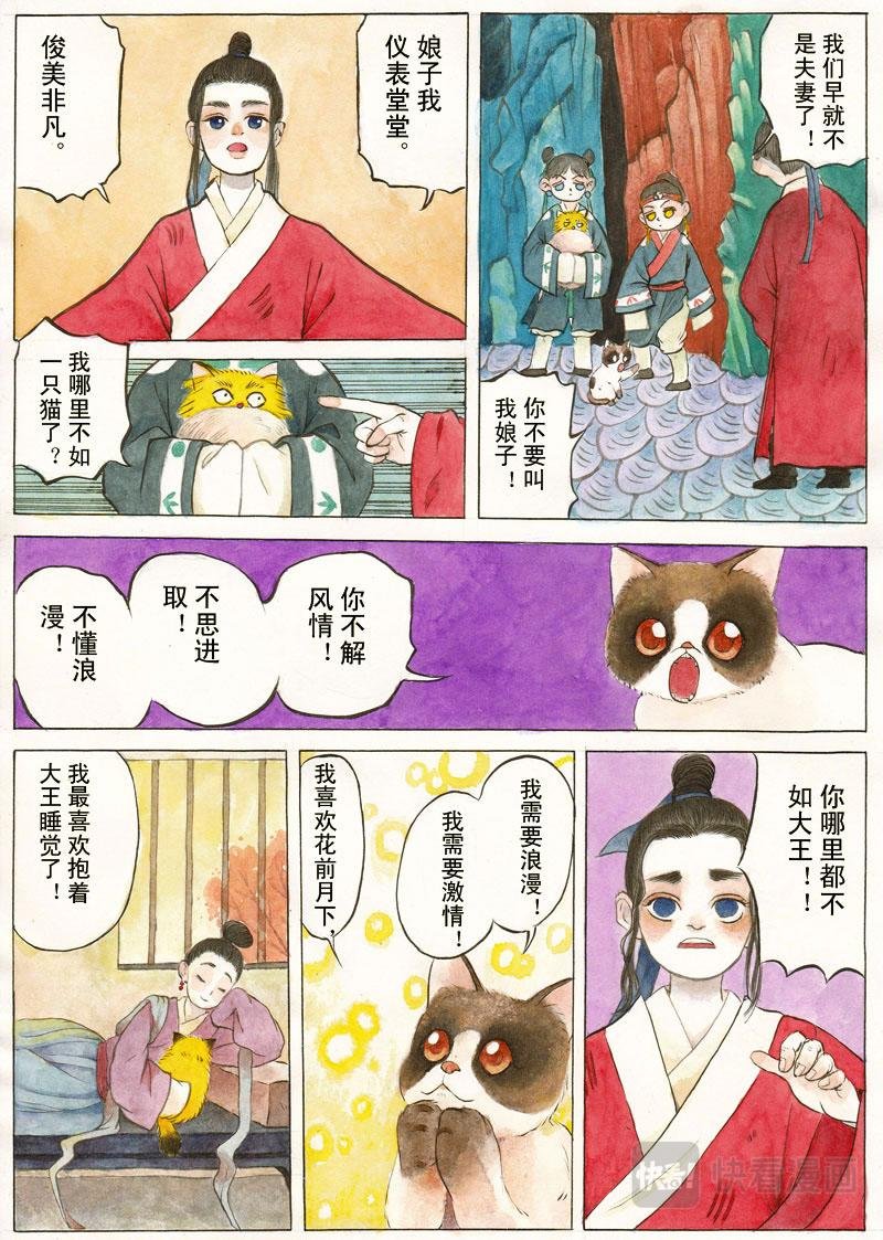 偷心猫