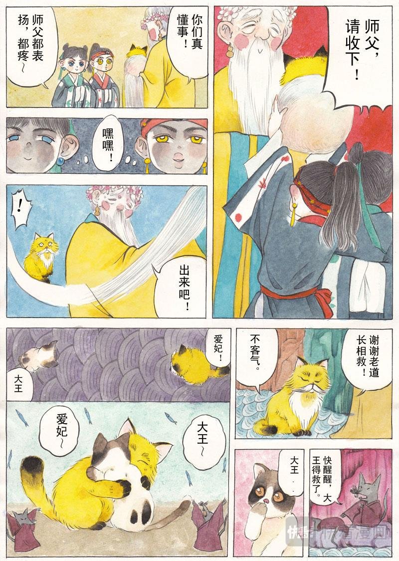偷心猫