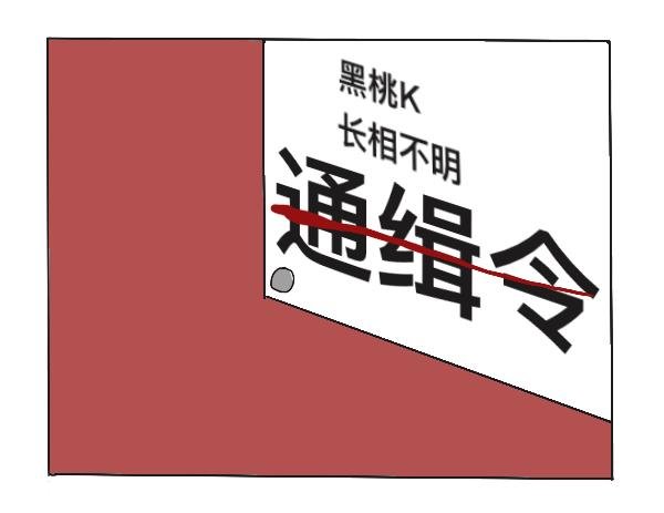 02黑桃K