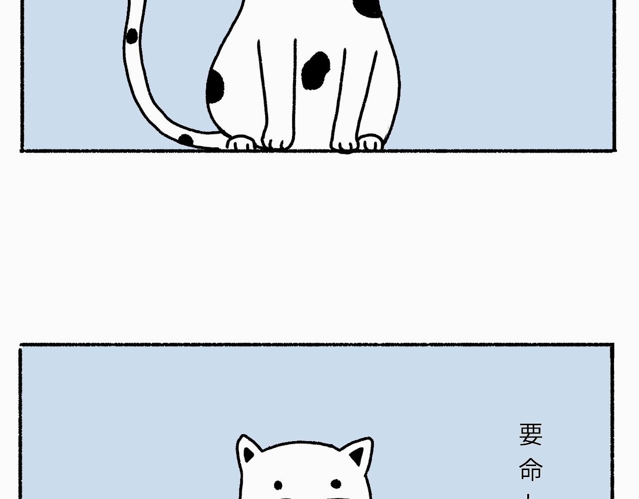 第1话：初次见面，请多指教