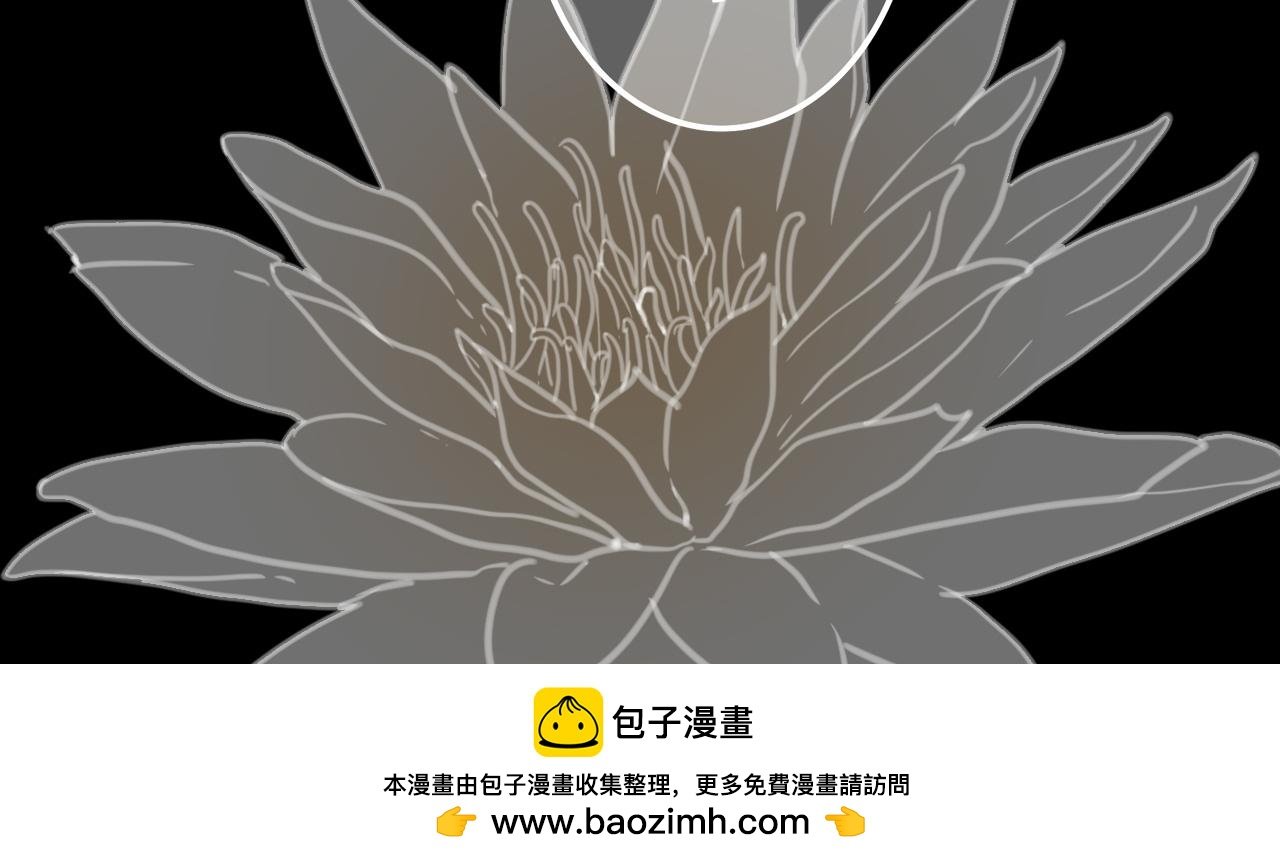 一 白莲莲子