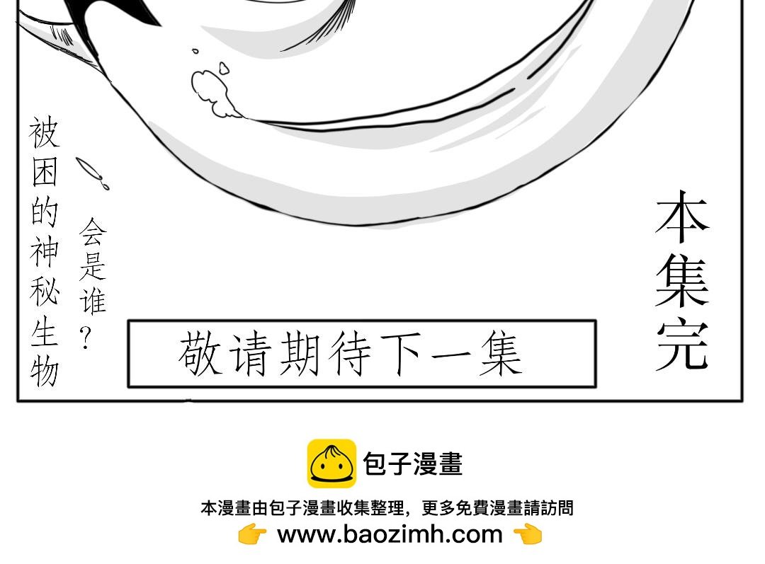由来