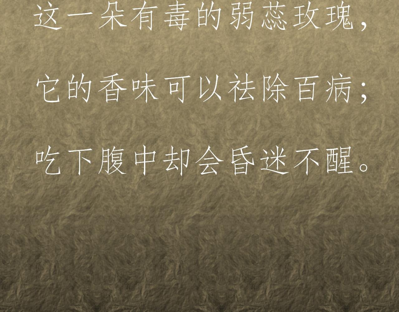 前言