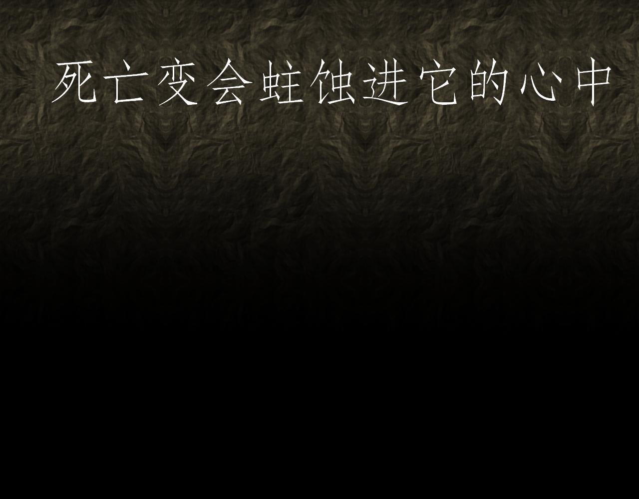 前言