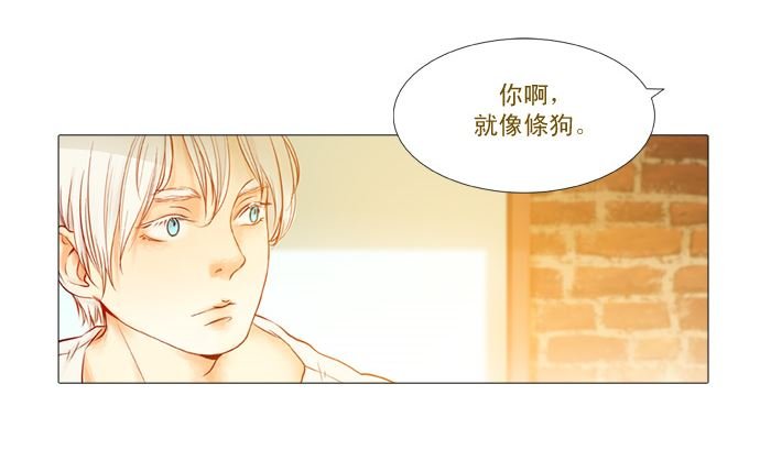 我在等你