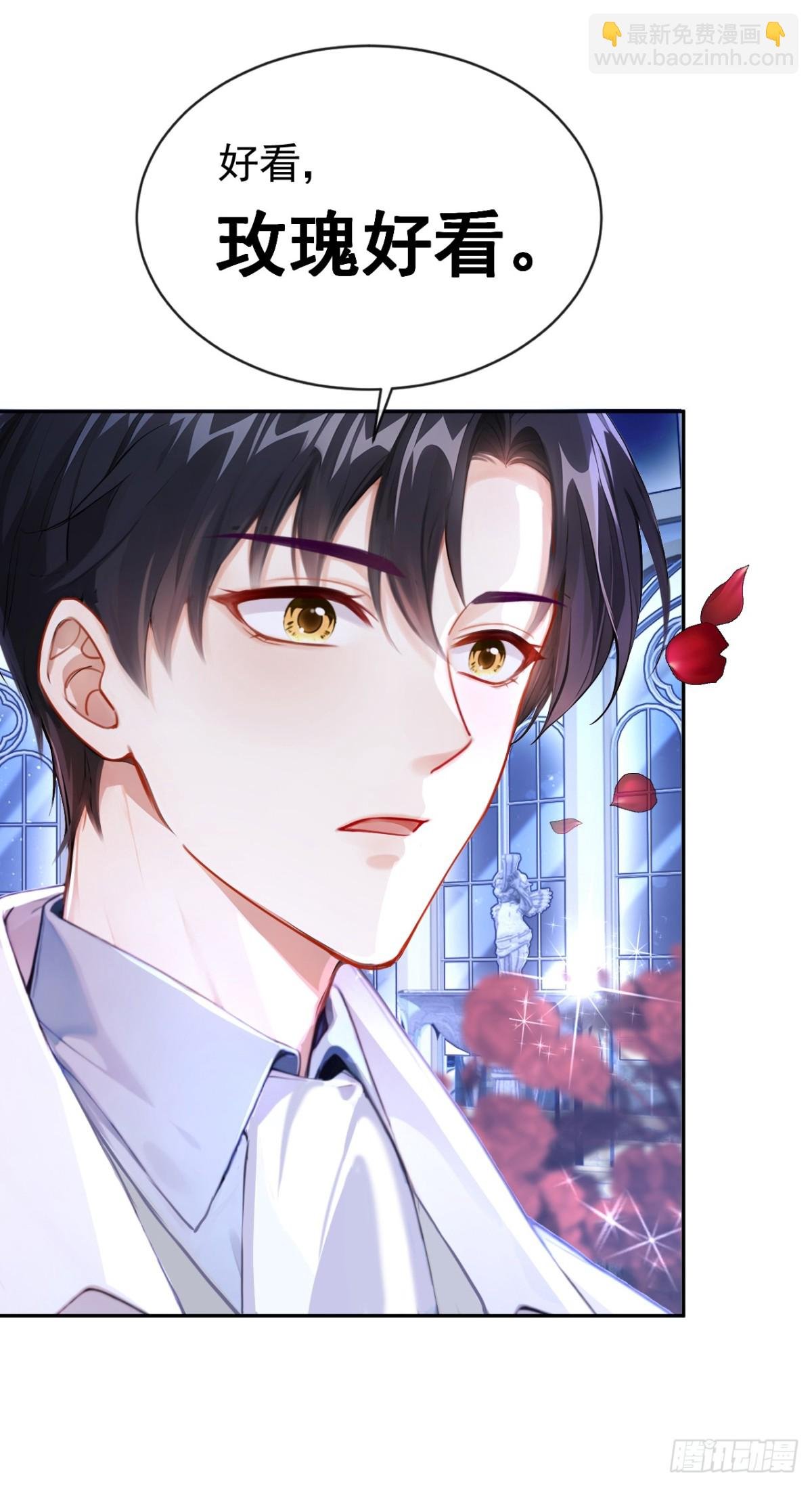第154话 陪我去看玫瑰吧