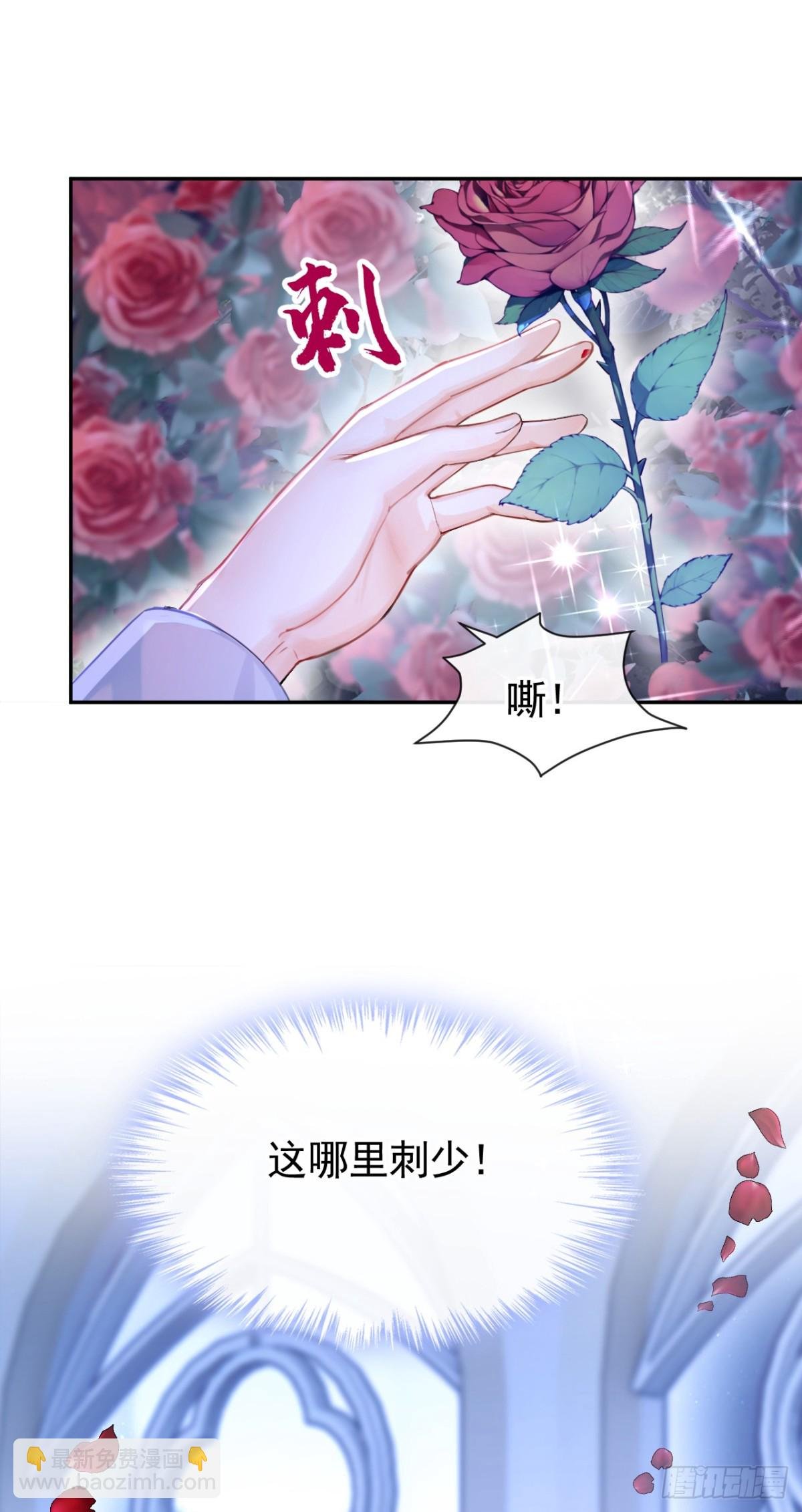 第154话 陪我去看玫瑰吧